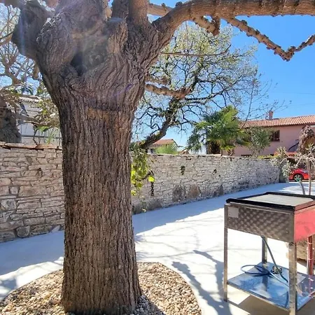 Casa Mora Novigrad (Istria)