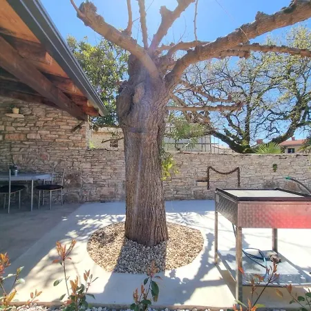 Casa Mora Apartmán *