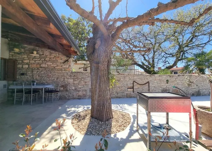 Casa Mora شقة *